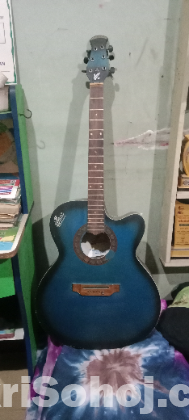 Signature Acoustic Guitar